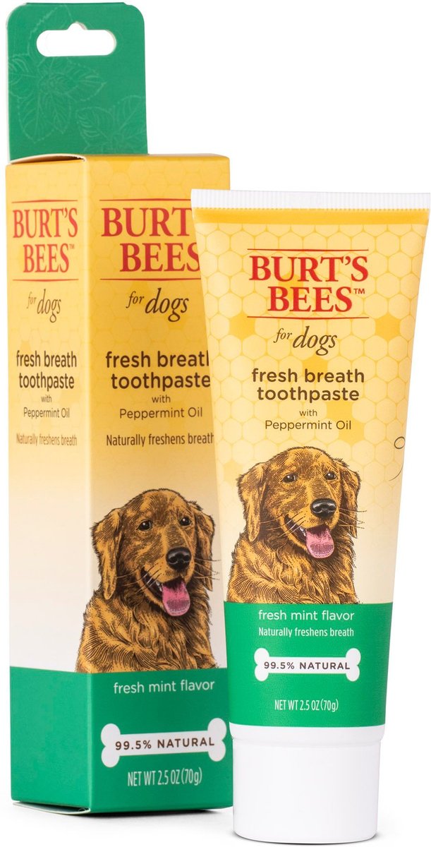BURT'S BEES Care Plus + Fresh Breath Toothpaste with Peppermint Oil, 2.