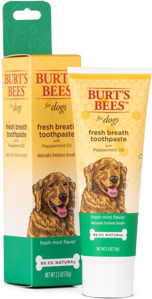 Burt's Bees Care Plus + Fresh Breath Toothpaste with Peppermint Oil, 2.5-oz tube slide 1 of 4