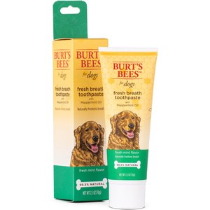 Burt's Bees Care Plus + Fresh Breath Toothpaste with Peppermint Oil, 2.5-oz tube