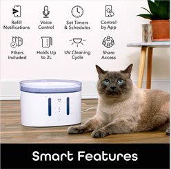 Geeni PetConnect UV Sterilized Circulating Water Smart Dog & Cat Fountain, 2-L slide 2 of 8