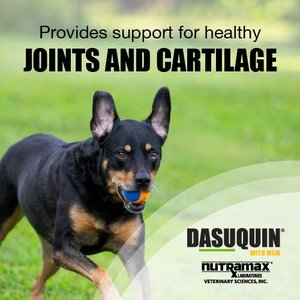 Nutramax Dasuquin Hip & Joint Soft Chews Joint Supplement for Large Dogs, 150 count