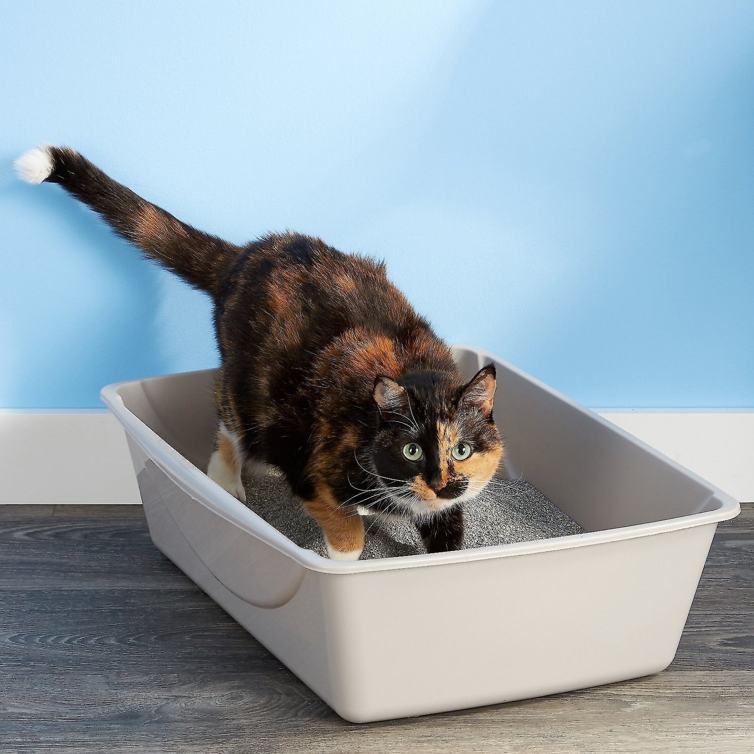 Petmate Hooded Litter Pan Set with Microban, Color Varies, Jumbo