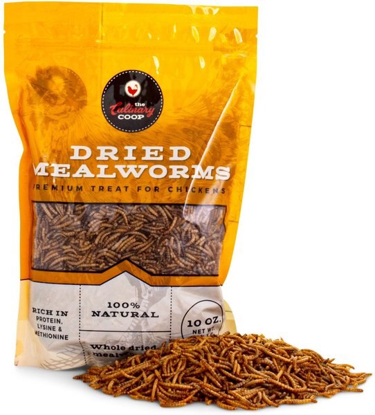 Fluker's Dried Soldier Fly Worms Chicken Treat - 1 Lb Bag, High Protein & Calcium For Hens