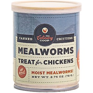Culinary Coop Mealworms Chicken Treats, 2.75-oz can,  