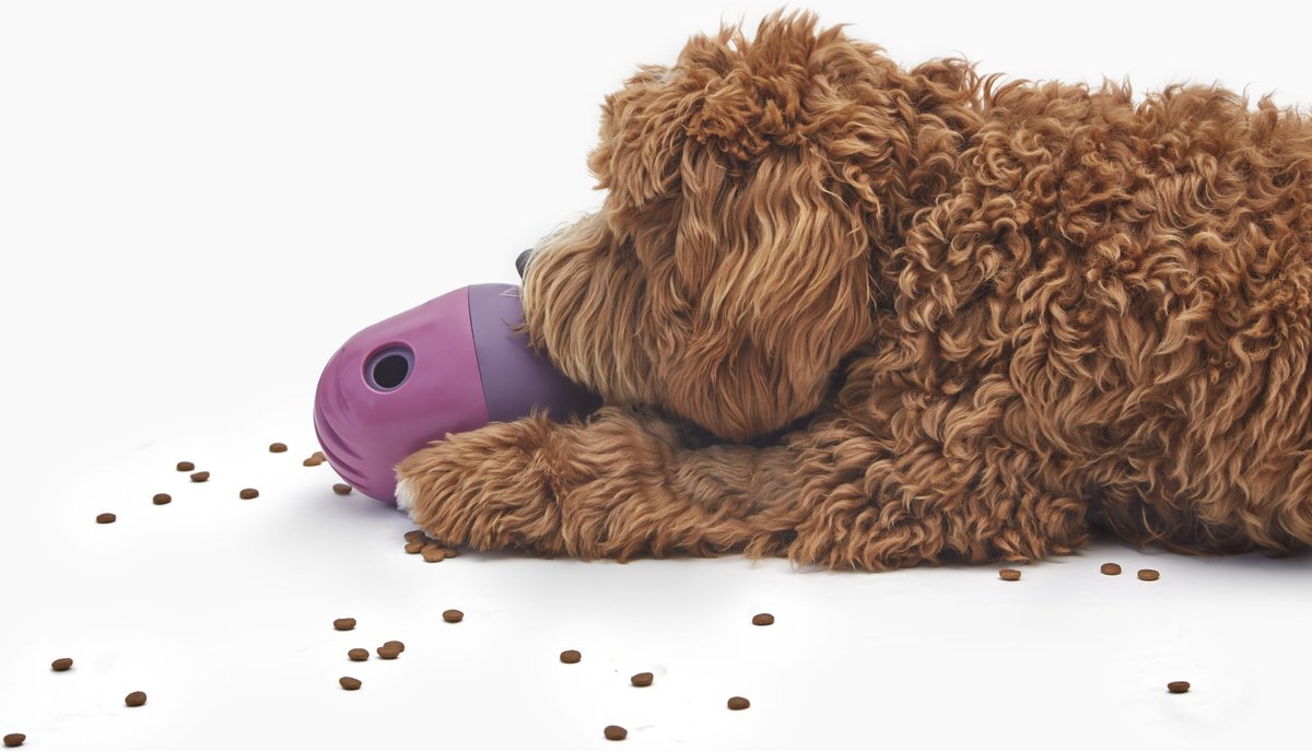 FABLE PETS The Game Dog Toy, Purple