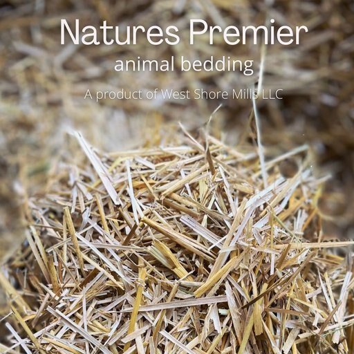 Natures Premier Small Animal Bedding, 6-lb bag