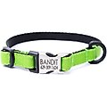 Mimi Green Engraved Buckle Ribbon Standard Cat & Dog Collar, Apple, X-Small