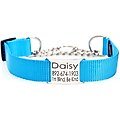 Mimi Green Personalized Chain Martingale Dog Collar, Peacock, Large