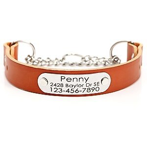 Mimi Green Leather Martingale Dog Collar with ID Riveted Nameplate, Tan, Medium