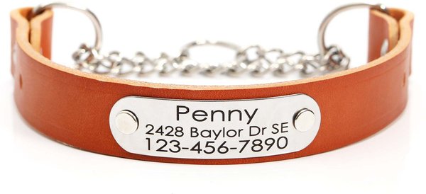 Waterproof Dog Collar with Riveted Nameplate