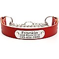 Mimi Green Leather Martingale Dog Collar with ID Riveted Nameplate, Red, Medium