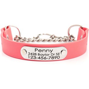 Mimi Green Waterproof Leather Martingale Dog Collar with Personalized ID Tag, Coral Pink, Medium