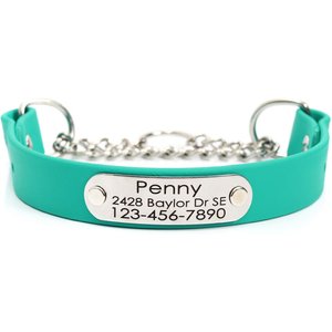 Mimi Green Waterproof Leather Martingale Dog Collar with Personalized ID Tag, Teal, X-Large