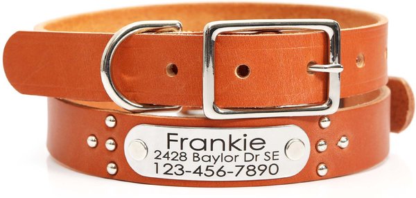 Mimi Green Studded Leather Dog Collar with Personalized Riveted Nameplate, Tan, X-Small slide 1 of 5