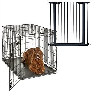 MidWest iCrate Fold & Carry Single Door Collapsible Dog Crate, 42 inch + Steel Pet Gate, Graphite, 39-in