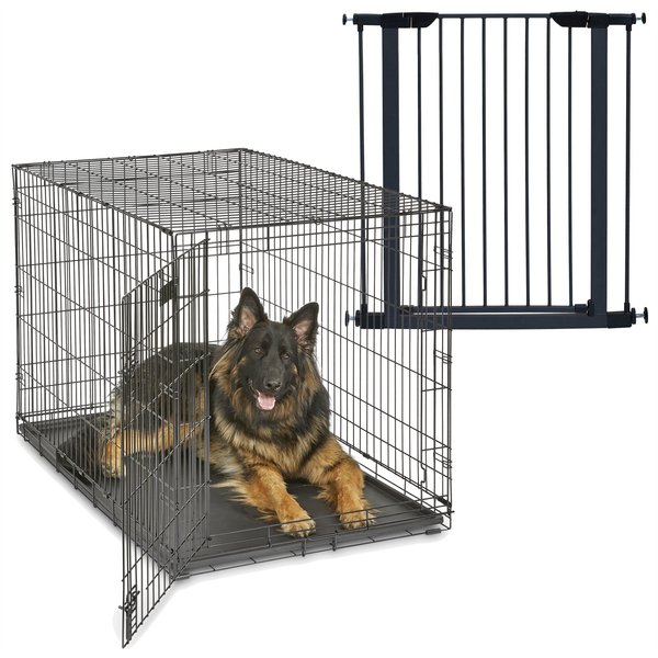 MidWest iCrate Fold & Carry Single Door Collapsible Dog Crate, 48 inch + Steel Pet Gate, Graphite, 39-in slide 1 of 9