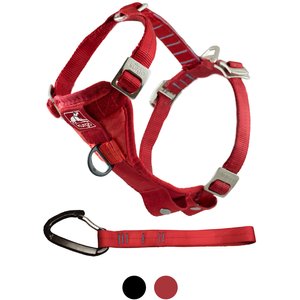 Kurgo Tru-Fit Enhanced Strength Crash Tested Smart Car Dog Harness, Small: 16 to 22-in chest
