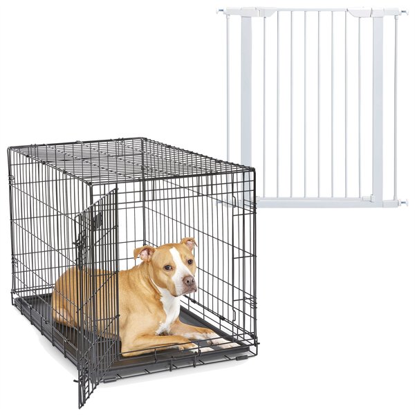 MidWest iCrate Fold & Carry Single Door Collapsible Dog Crate, 36 inch + Steel Pet Gate, White, 39-in slide 1 of 9