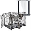 MidWest iCrate Fold & Carry Double Door Collapsible Dog Crate, 36 inch + Steel Pet Gate, Graphite, 39-in