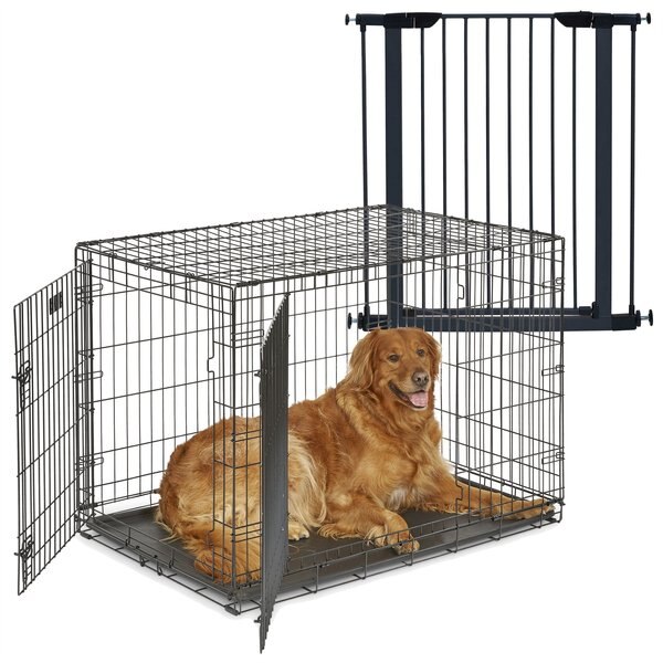 MidWest iCrate Fold & Carry Double Door Collapsible Dog Crate, 42 inch + Steel Pet Gate, Graphite, 39-in slide 1 of 9