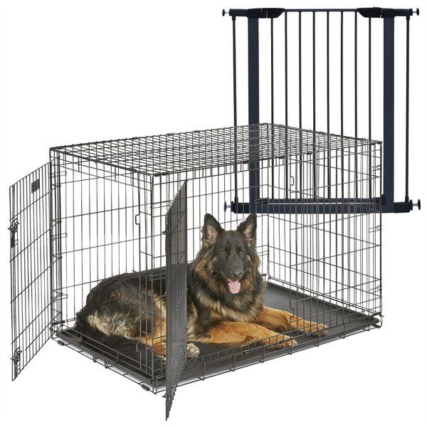 MidWest iCrate Fold & Carry Double Door Collapsible Dog Crate, 48 inch + Steel Pet Gate, Graphite, 39-in slide 1 of 9