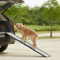 Gen7Pets Feather Lite Foldable Dog Car Ramp