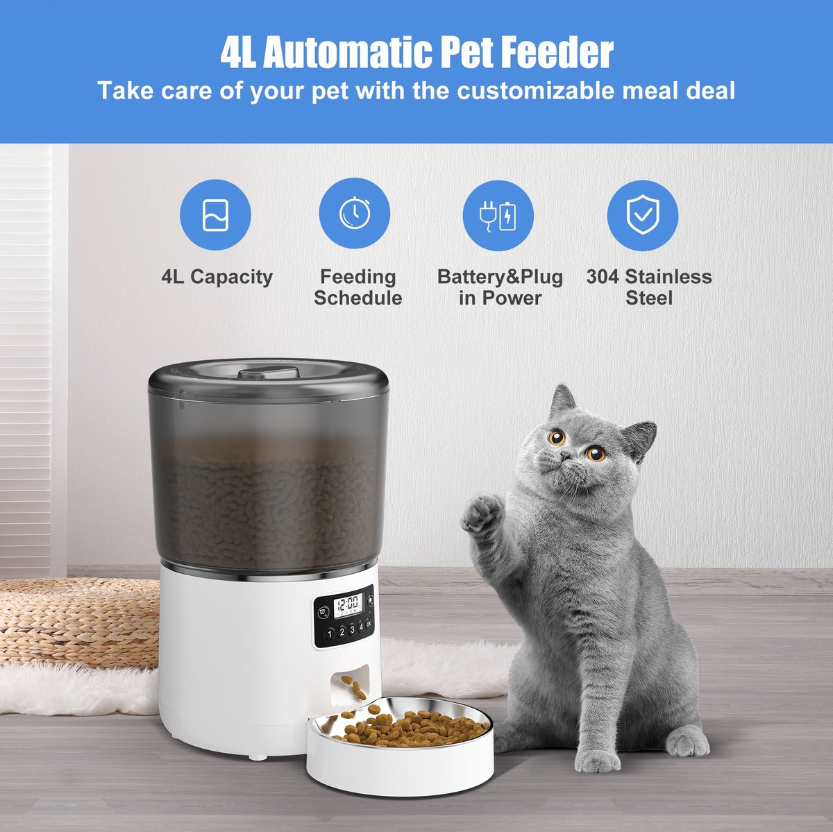 Timed animal cheap feeder