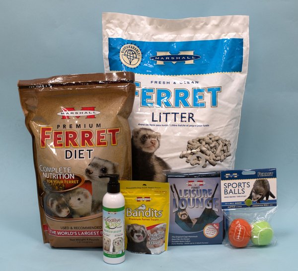 Chewy ferret outlet food