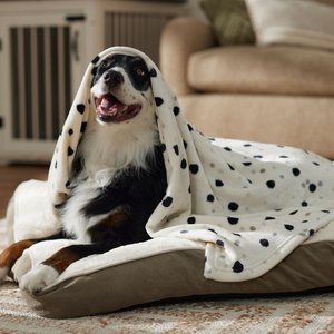 Frisco Plush Cat & Dog Throw Blanket, Doodle Dots, 60-in