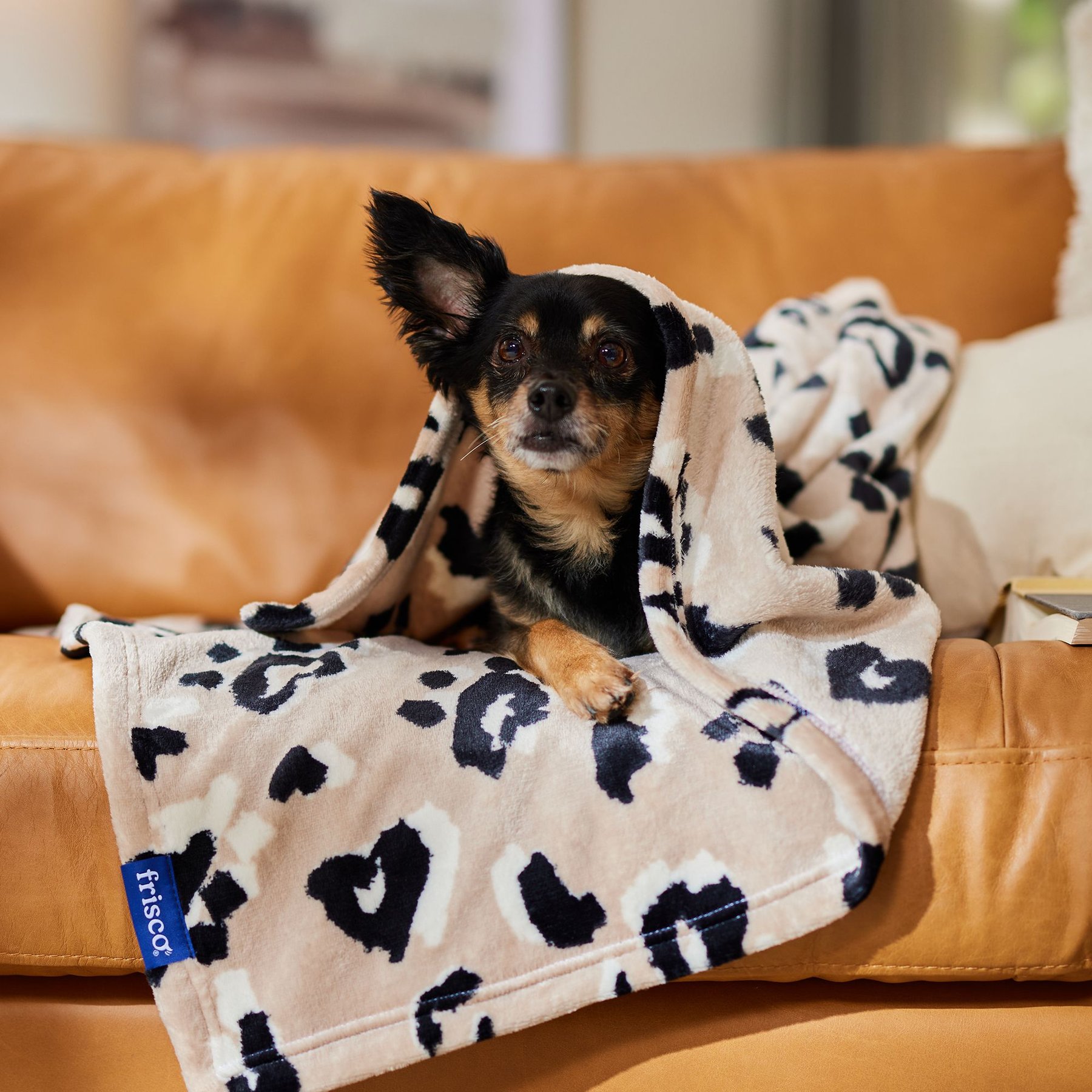 Frisco sherpa dog blanket best sale