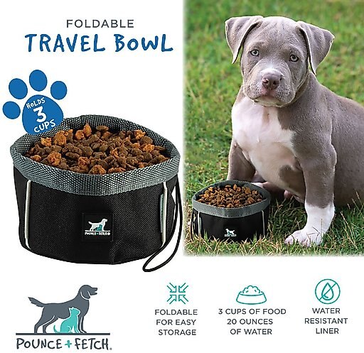 Pounce + Fetch Foldable Travel Dog & Cat Bowl, 3-cup