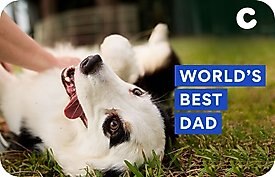 World's Best Dog Dad