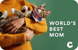 World's Best Cat Mom