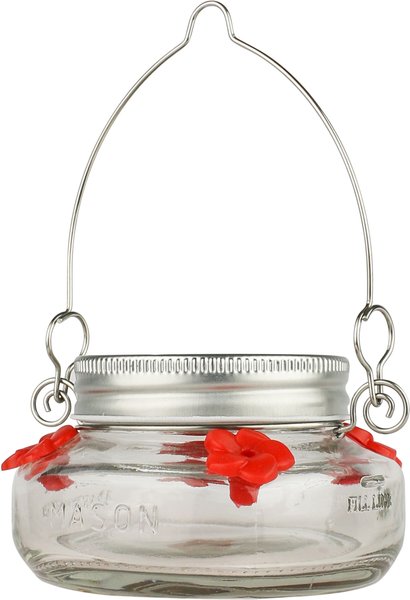 Natures Way Bird Products Mason Jar Humming Bird Feeder, Clear, 6-oz