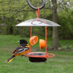 Natures Way Bird Products Wire Oriole Bird Feeder, Orange, 0.75-cup slide 2 of 9