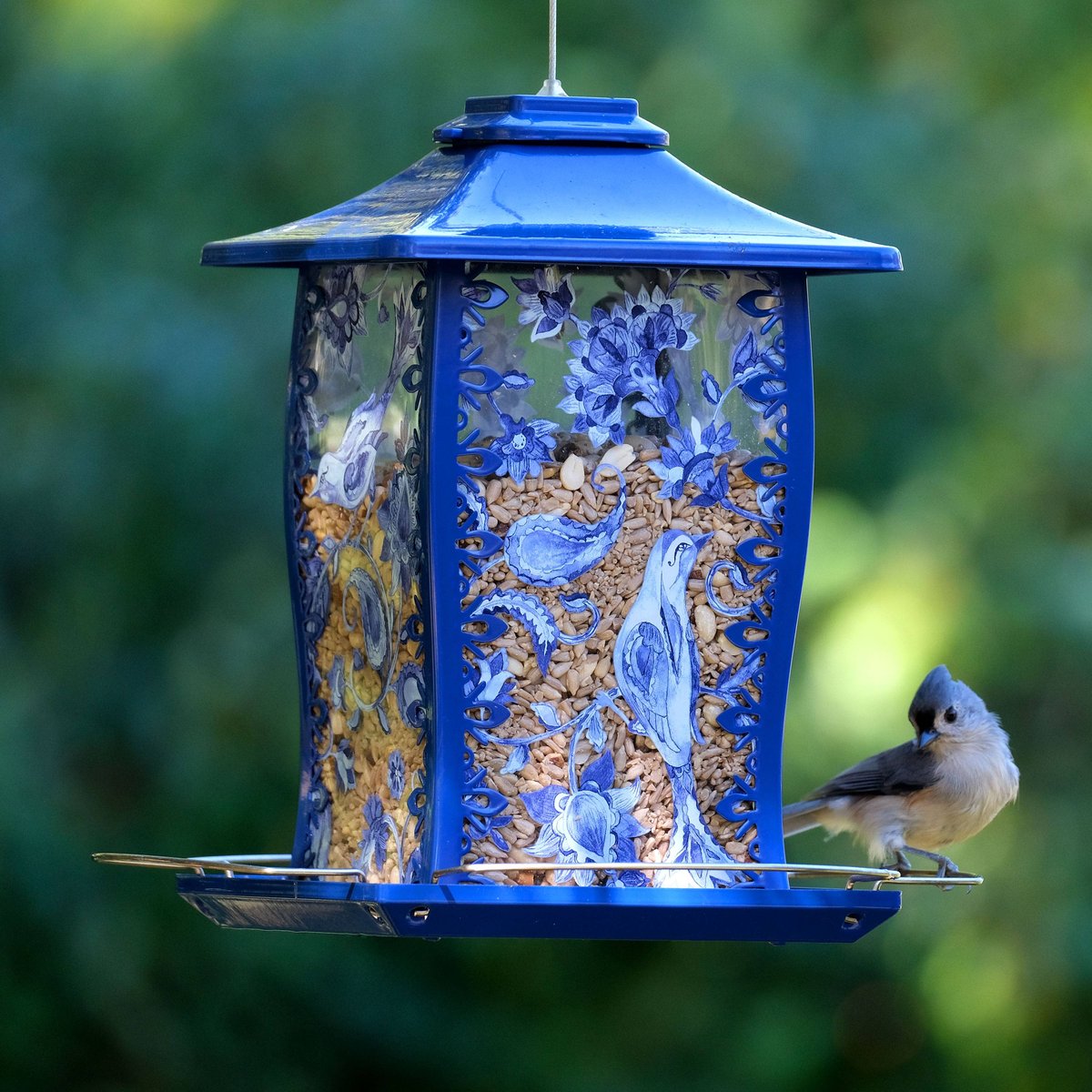 Natures Way Bird Products Paisley Sky Gazebo Bird Feeder, Blue, 3.7-qt