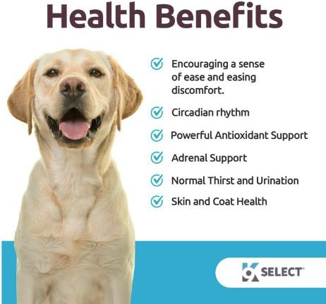 K9 choice best sale melatonin for dogs