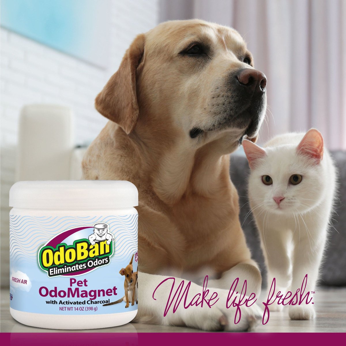 ODOBAN OdoMagnet Pet Odor Eliminator Fresh Air Activated Charcoal