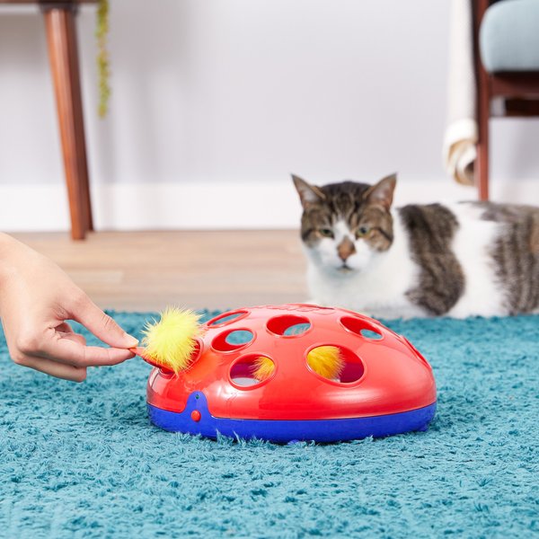 Kong Glide 'n Seek Cat Toy – bold-custom-projects