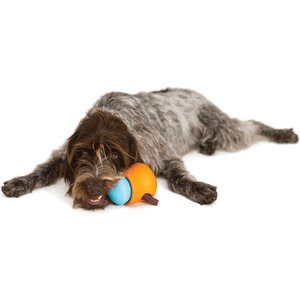Volacopets Interactive Dog Toys for Puppies, Puppy Puzzle Toys for Small Dogs, Dog Balls for Small Dog, Treat Dispensing Dog Toys, Squeaky Ball
