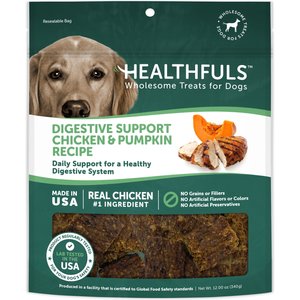 Healthfuls Digestive Support Chicken & Pumpkin Recipe Dog Treats, 12-oz bag