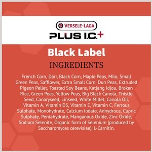 Versele-Laga Plus I.C.+ Black Label Start Pigeon Food, 40-lb bag