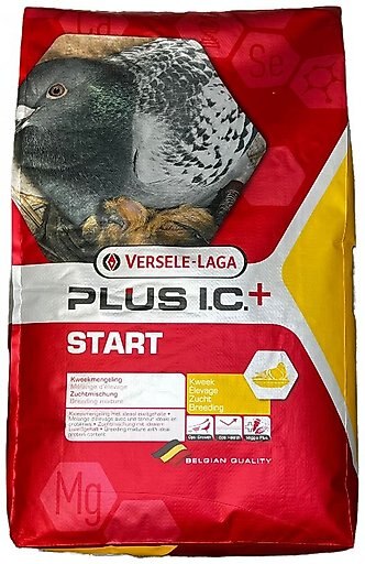 Versele-Laga Plus I.C+ Start Pigeon Food, 40-lb bag
