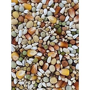 Versele-Laga Plus I.C+ Champion Pigeon Food, 40-lb bag