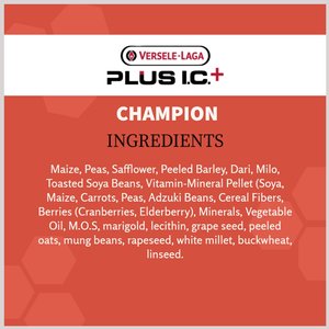 Versele-Laga Plus I.C+ Champion Pigeon Food, 40-lb bag