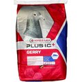 Versele-Laga Plus I.C.+ Gerry Pigeon Food, 40-lb bag