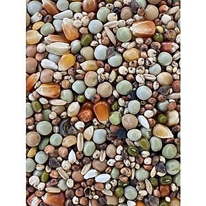 Versele-Laga Traditional MM Jr + Corn Pigeon Food, 40-lb bag