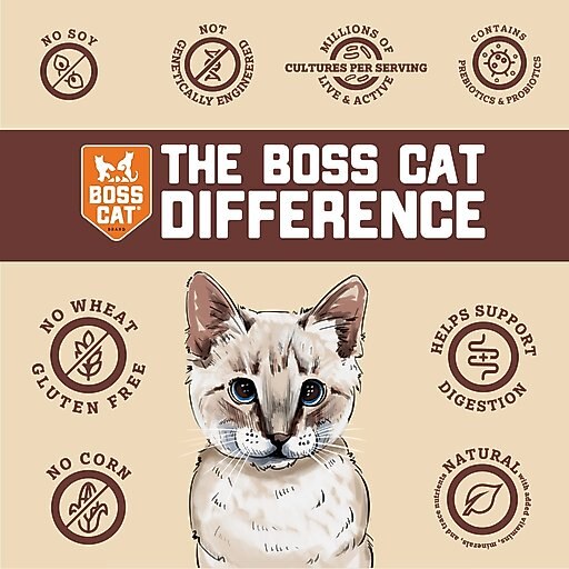 Boss Cat Freeze-Dried Raw Pork Nuggs Dry Cat Food, 9-oz bag