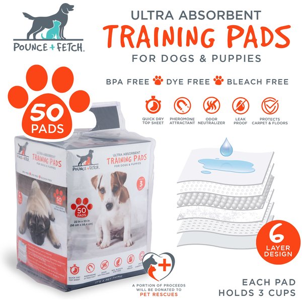 Akc ultra absorbent training cheap pads