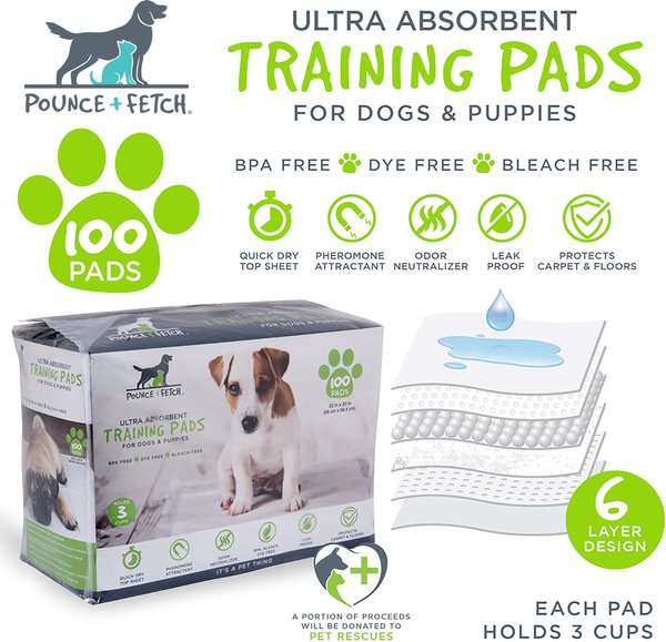 Pounce + Fetch Ultra Absorbent Dog Training Pads, 100 count slide 1 of 6